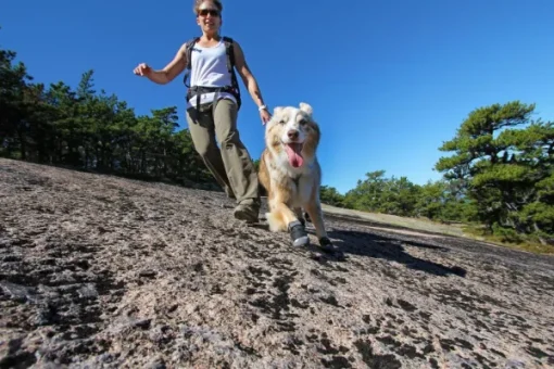 Grip Trex 2-pack Obsidian Black-RuffWear Outlet