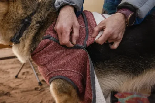 RuffWear Hemp Hound Sweater koirantakki, Fired Brick New