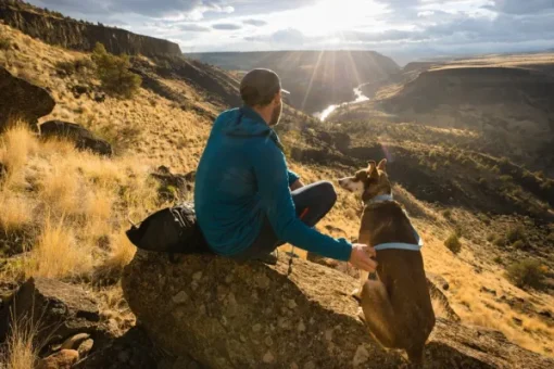 Hi & Light Collar kaulapanta, pinkki-RuffWear Discount