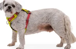 RuffWear Hi & Light Harness valjaat, harmaa New