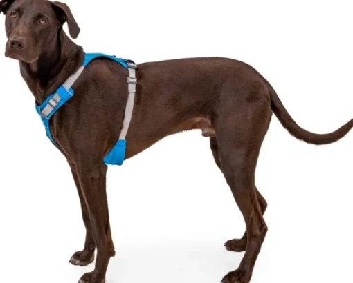 RuffWear Hi & Light Harness valjaat, harmaa New