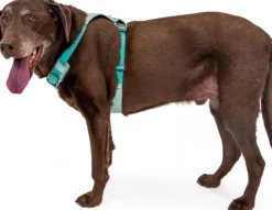 RuffWear Hi & Light Harness valjaat, harmaa New