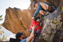 Hitch Hiker Dog Backpack Carrier Basalt Gray-RuffWear Online