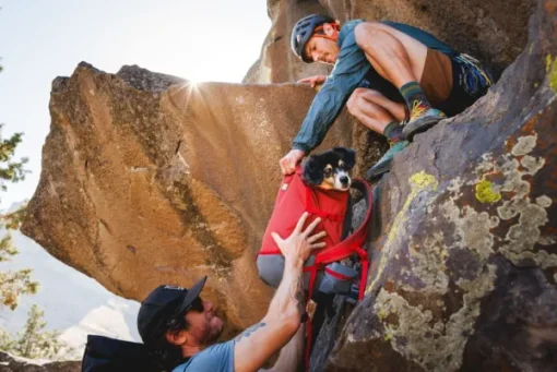 Hitch Hiker Dog Backpack Carrier Basalt Gray-RuffWear Online