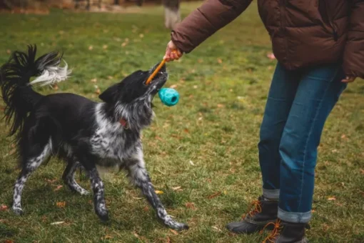 RuffWear Huck-a-Cone Toy Glacial Blue New