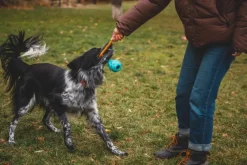 Huck-a-Cone Toy Purple Orchid-RuffWear New