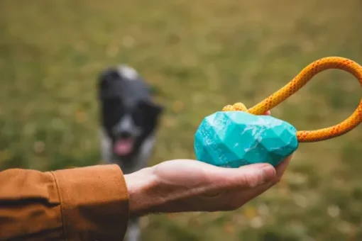 Huck-a-Cone Toy Purple Orchid-RuffWear New