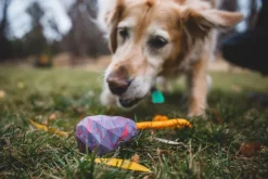 Huck-a-Cone Toy Purple Orchid-RuffWear New