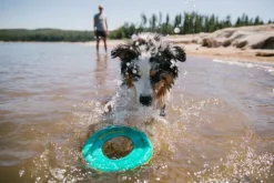 RuffWear Hydro Plane Toy Biolumin Blue Sale