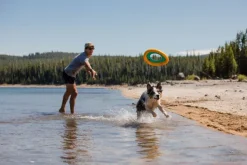 Hydro Plane Toy Tangelo Orange-RuffWear New