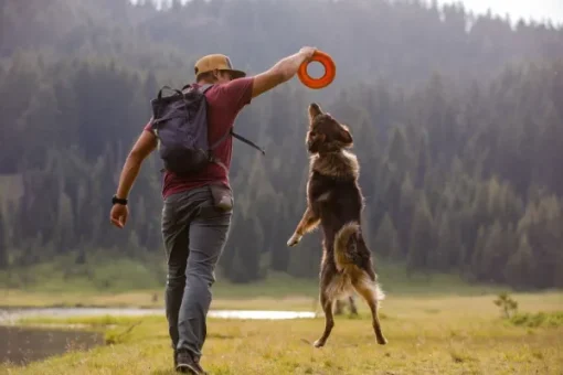 Hydro Plane Toy Tangelo Orange-RuffWear New
