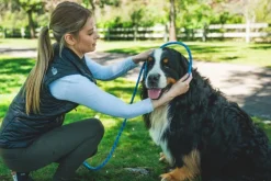 Just-a-Cinch Leash koiran talutushihna, Obsidian Black-RuffWear Best