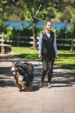Just-a-Cinch Leash koiran talutushihna, Obsidian Black-RuffWear Best