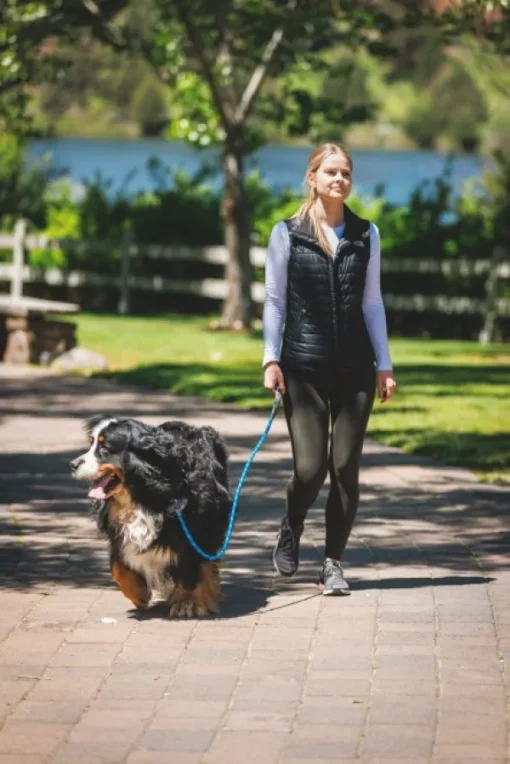 Just-a-Cinch Leash koiran talutushihna, Obsidian Black-RuffWear Best