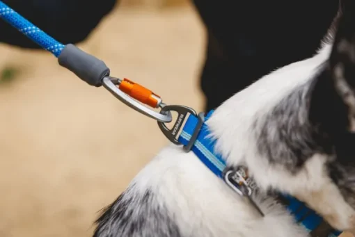 Knot-a-Leash koiran talutushihna, Obsidian Black-RuffWear Clearance