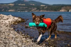 Lunker Toy Biolumin Blue-RuffWear Clearance