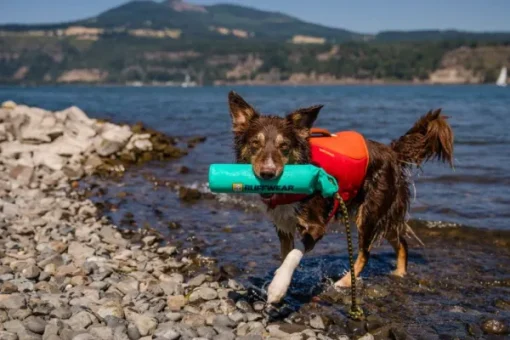 Lunker Toy Biolumin Blue-RuffWear Clearance