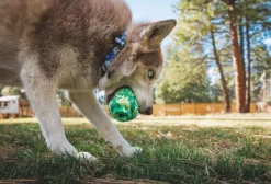Morel koiran lelu, Moss Green-RuffWear Clearance