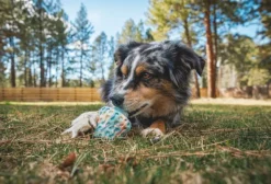 Morel koiran lelu, Gray Sky-RuffWear New