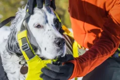RuffWear Omnijore Joring System juoksupaketti, Lichen Green New