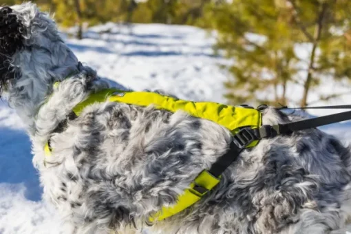 RuffWear Omnijore Joring System juoksupaketti, Lichen Green New