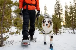 Polar Trex - set of 2 - Pairs Obsidian Black-RuffWear Discount