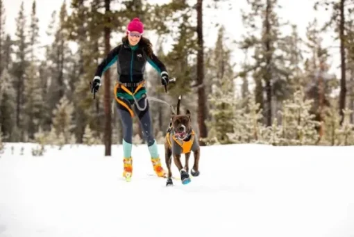 Polar Trex - set of 2 - Pairs Obsidian Black-RuffWear Discount