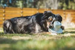Porchini koiran lelu, Blue Prism-RuffWear Clearance