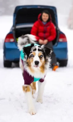 Powder Hound Jacket koiran talvitakki, Aurora Teal-RuffWear New