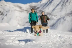 Powder Hound Jacket koiran talvitakki, Aurora Teal-RuffWear New