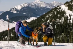 Quinzee Jacket koiran takki, oranssi-RuffWear Discount