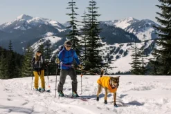Quinzee Jacket koiran takki, oranssi-RuffWear Discount