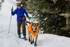 Quinzee Jacket koiran takki, oranssi-RuffWear Discount