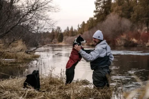 Quinzee Jacket koiran takki, oranssi-RuffWear New