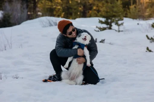 Quinzee Jacket koiran takki, sininen-RuffWear Online