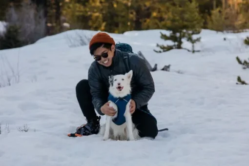 Quinzee Jacket koiran takki, sininen-RuffWear Online