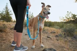 RuffWear Roamer Leash Granite Gray Outlet