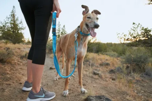 RuffWear Roamer Leash Granite Gray Outlet
