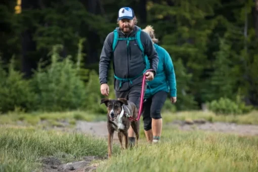 RuffWear Roamer Leash Granite Gray Outlet