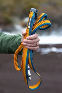 RuffWear Roamer Leash joustava talutushihna, Yellow Snow Outlet