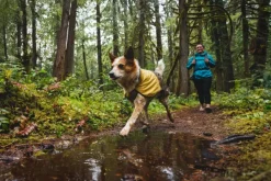 Sun Shower Jacket koiran sadetakki, XXS-S, Earth Brown-RuffWear Sale