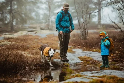 Sun Shower Jacket koiran sadetakki, XXS-S, Earth Brown-RuffWear Sale