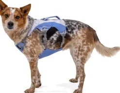 RuffWear Swamp Cooler Harness viilentävät valjaat, pastellinsininen Best