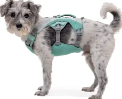 RuffWear Swamp Cooler Harness viilentävät valjaat, pastellinvihreä Discount