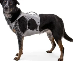 RuffWear Swamp Cooler Harness Graphite Gray (2024) Hot