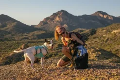 RuffWear Swamp Cooler Harness viilentävät valjaat, pastellinvihreä Discount