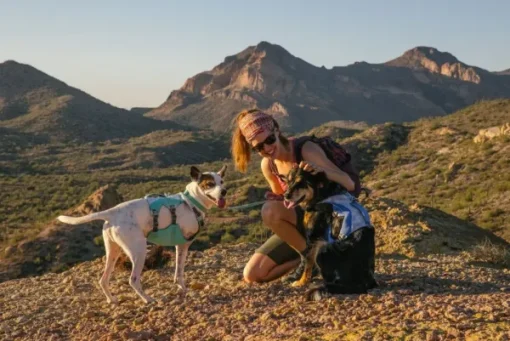 RuffWear Swamp Cooler Harness viilentävät valjaat, pastellinvihreä Discount