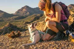 RuffWear Swamp Cooler Harness viilentävät valjaat, pastellinvihreä Discount