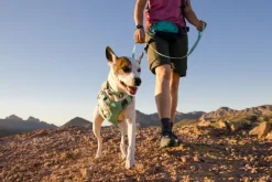 RuffWear Swamp Cooler Harness viilentävät valjaat, pastellinvihreä Discount