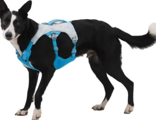 RuffWear Swamp Cooler Harness Graphite Gray Clearance